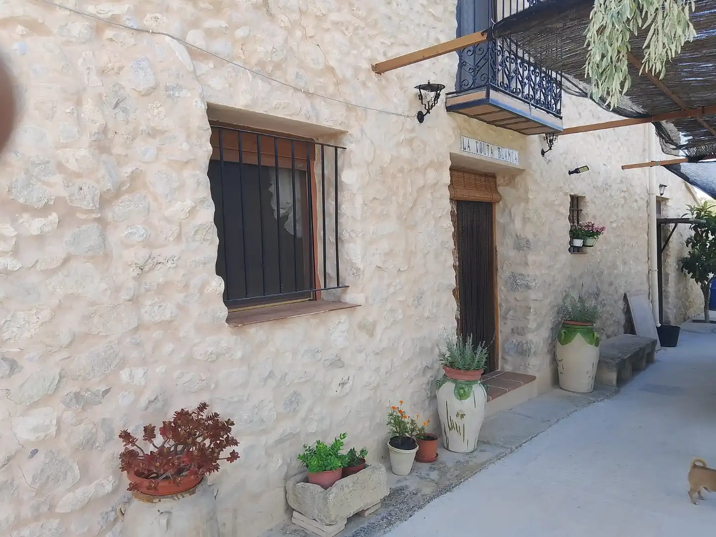 Terreno rustico in vendita a N/A, imagen 5