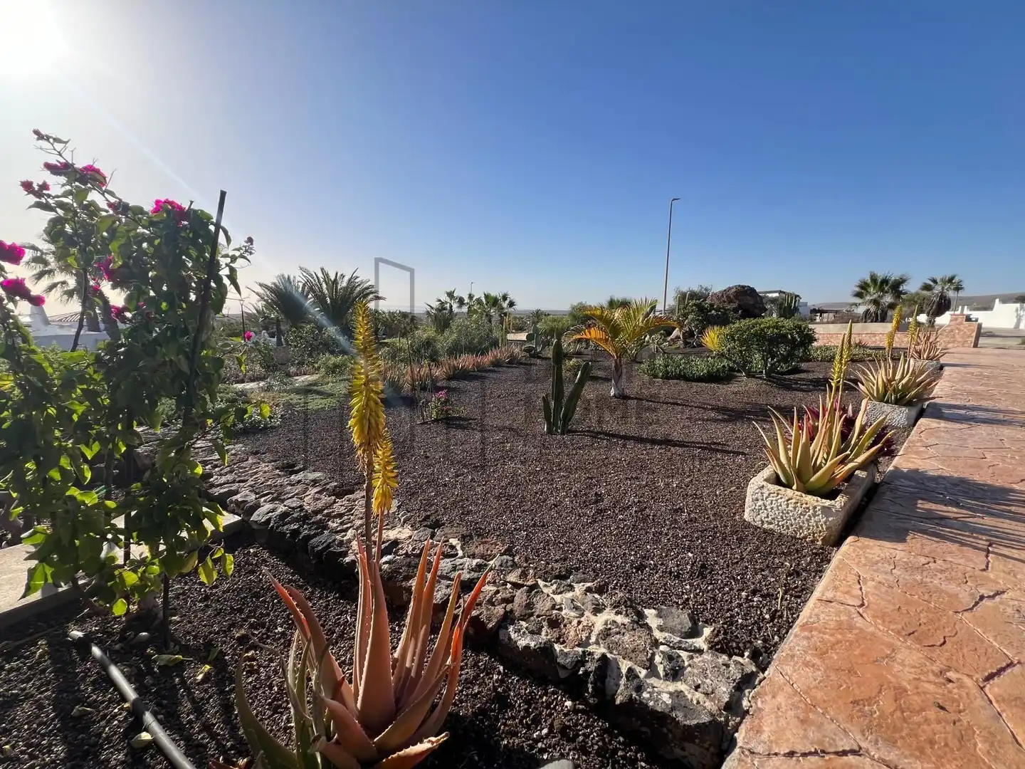 Jardí de Casa o xalet en venda en La Oliva amb Aire condicionat, Jardí privat i Terrassa