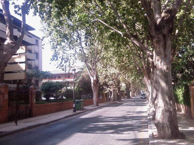 Piso en Venta en Paseo LIMONAR en Limonar