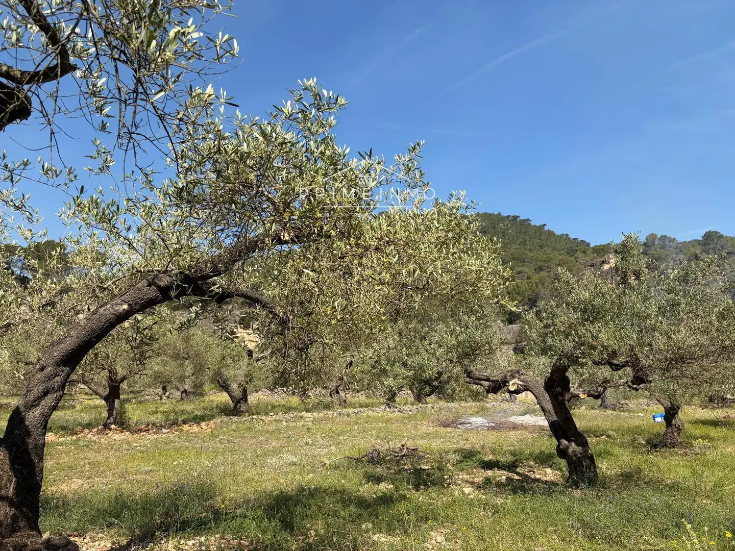Terreno rústico en venta en L'Ametlla de Mar pueblo