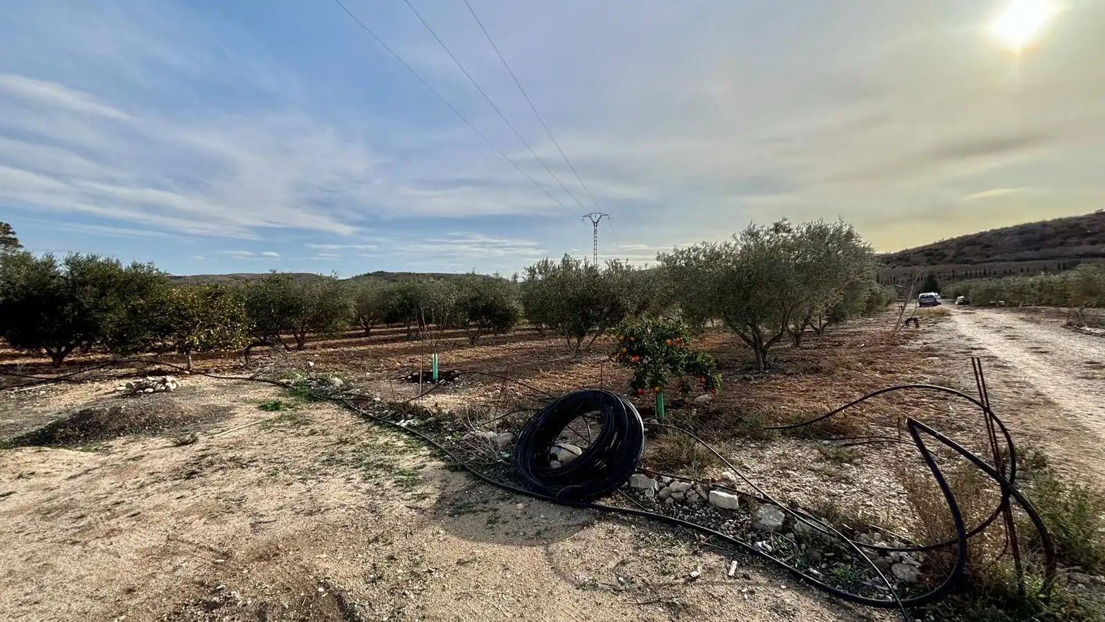 Rustikales Grundstück zum Verkauf in Pedanías Este, imagen 12