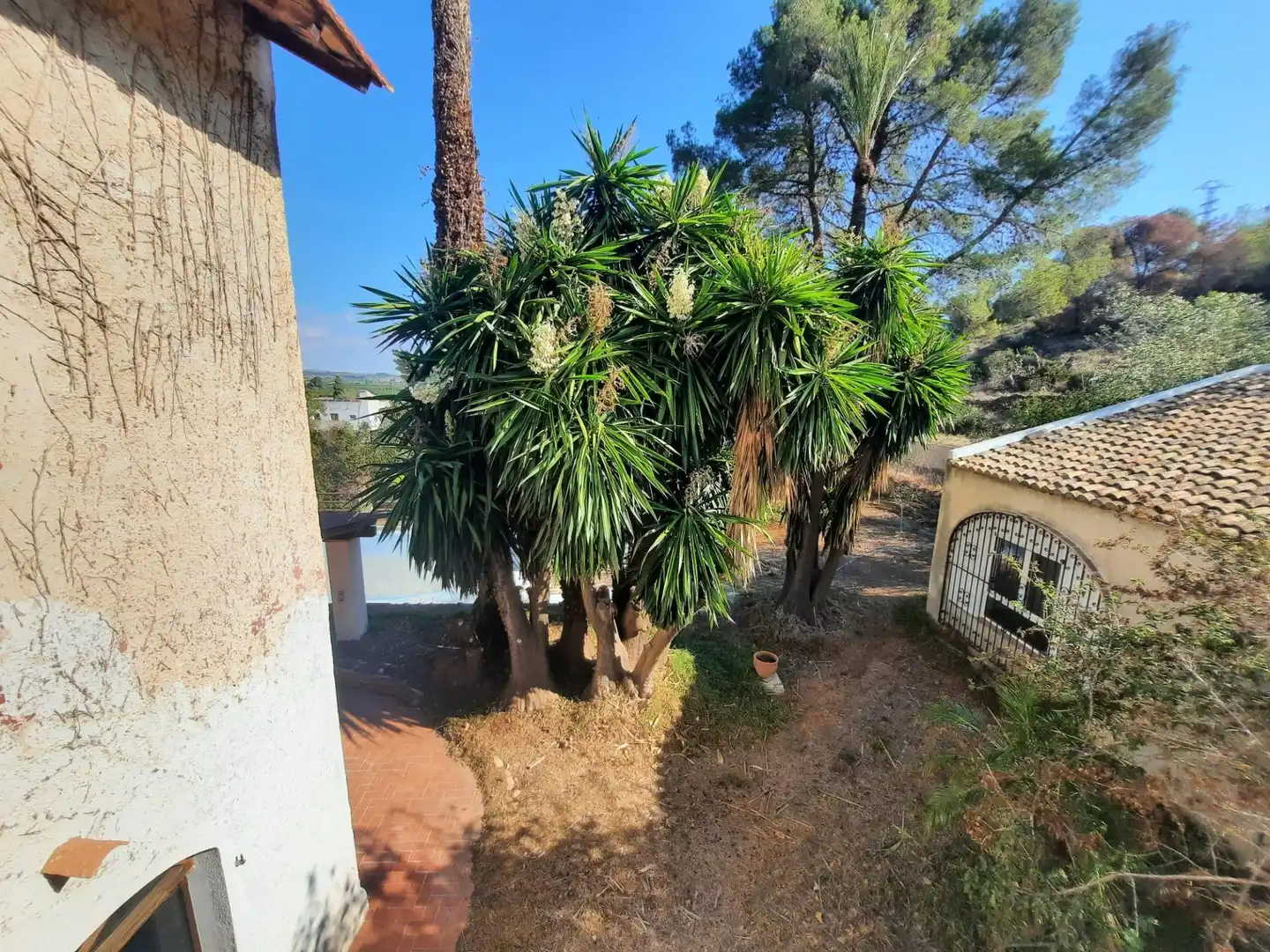 Landhaus mit Terrasse zum Verkauf in Alberic, imagen 47