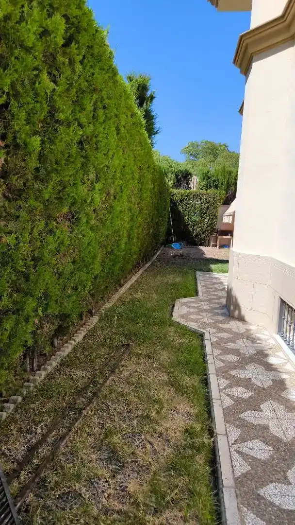 Jardí de Casa o xalet en venda en Valencina de la Concepción amb Piscina