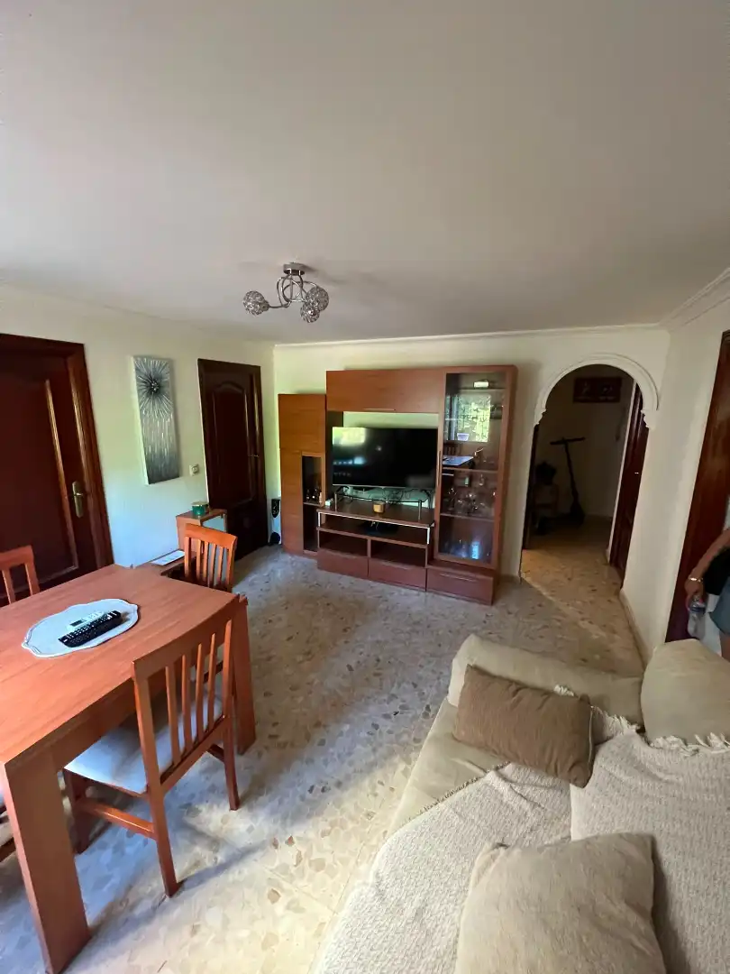 Living room of Flat for rent in Sevilla  with Heating, Furnished and Washing machine