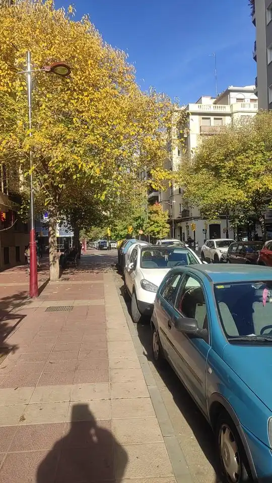 Business premises for sale in Paseo de las Damas 38, imagen 10