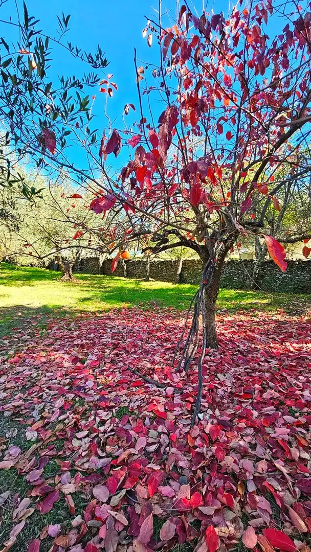 Casa rústica amb jardí en venda a Aracena, imagen 28