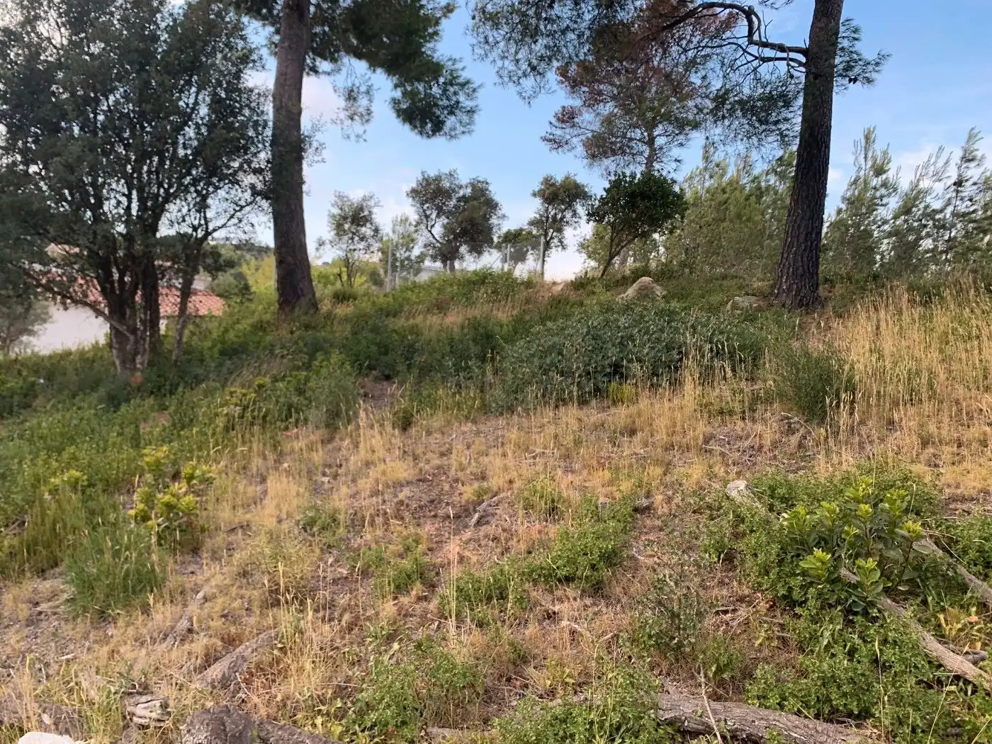 Residential land for sale in Palafolls, imagen 7