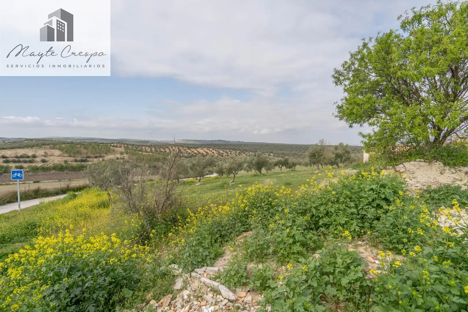 House with pool for sale in Calle del Geranio 29, imagen 50