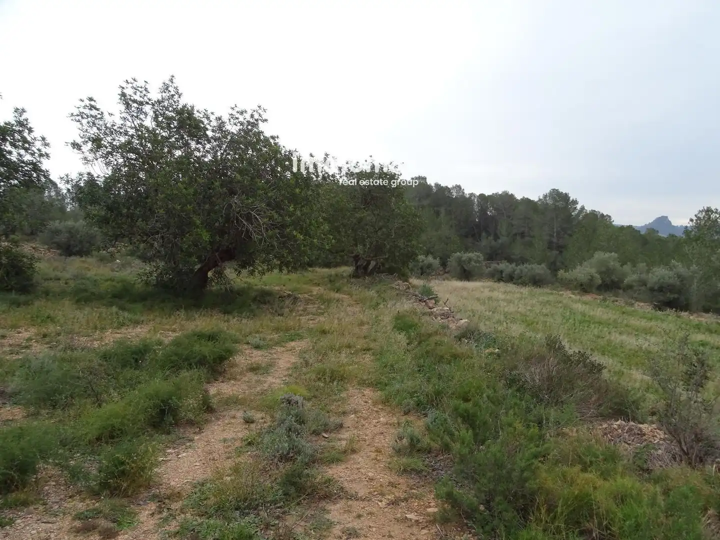 Residencial en venta en Benifallet