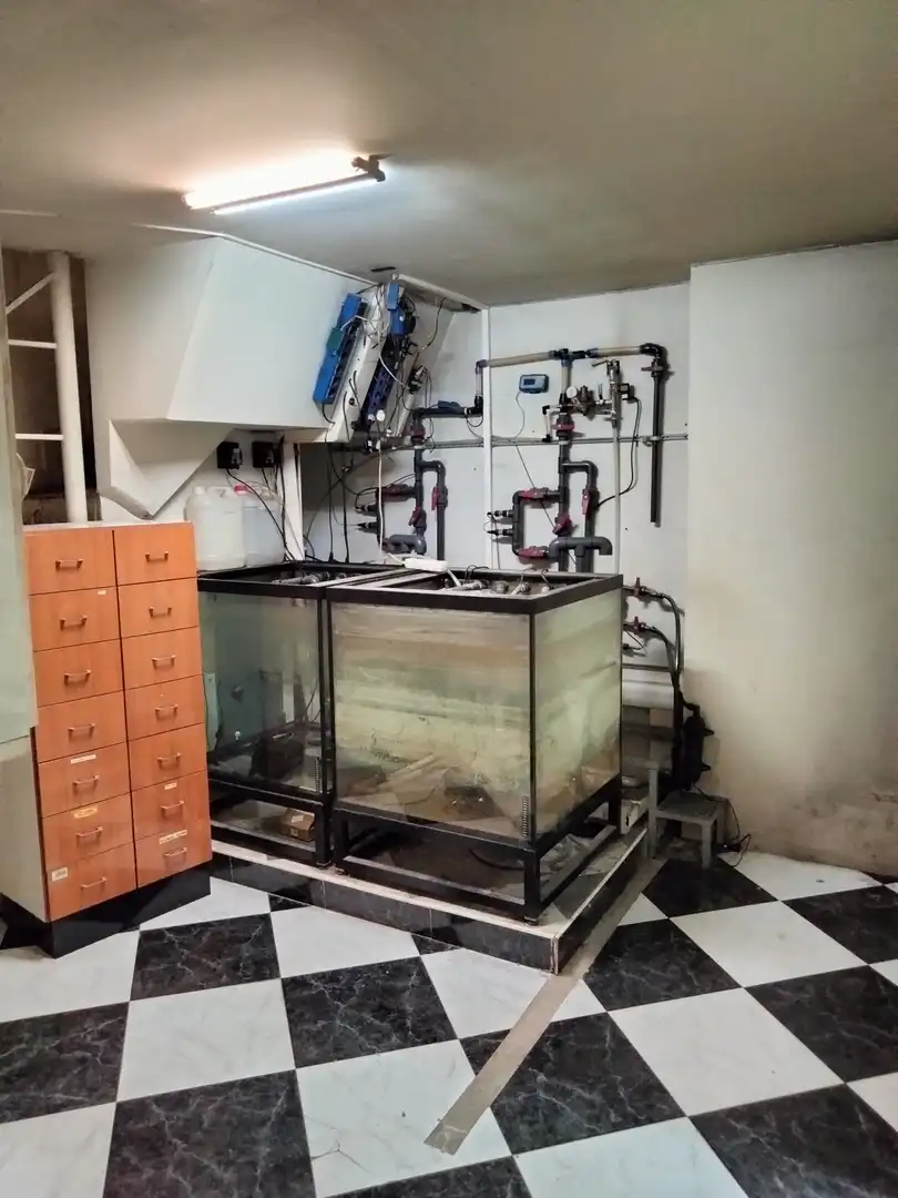 Business premises to rent in Centro, imagen 17