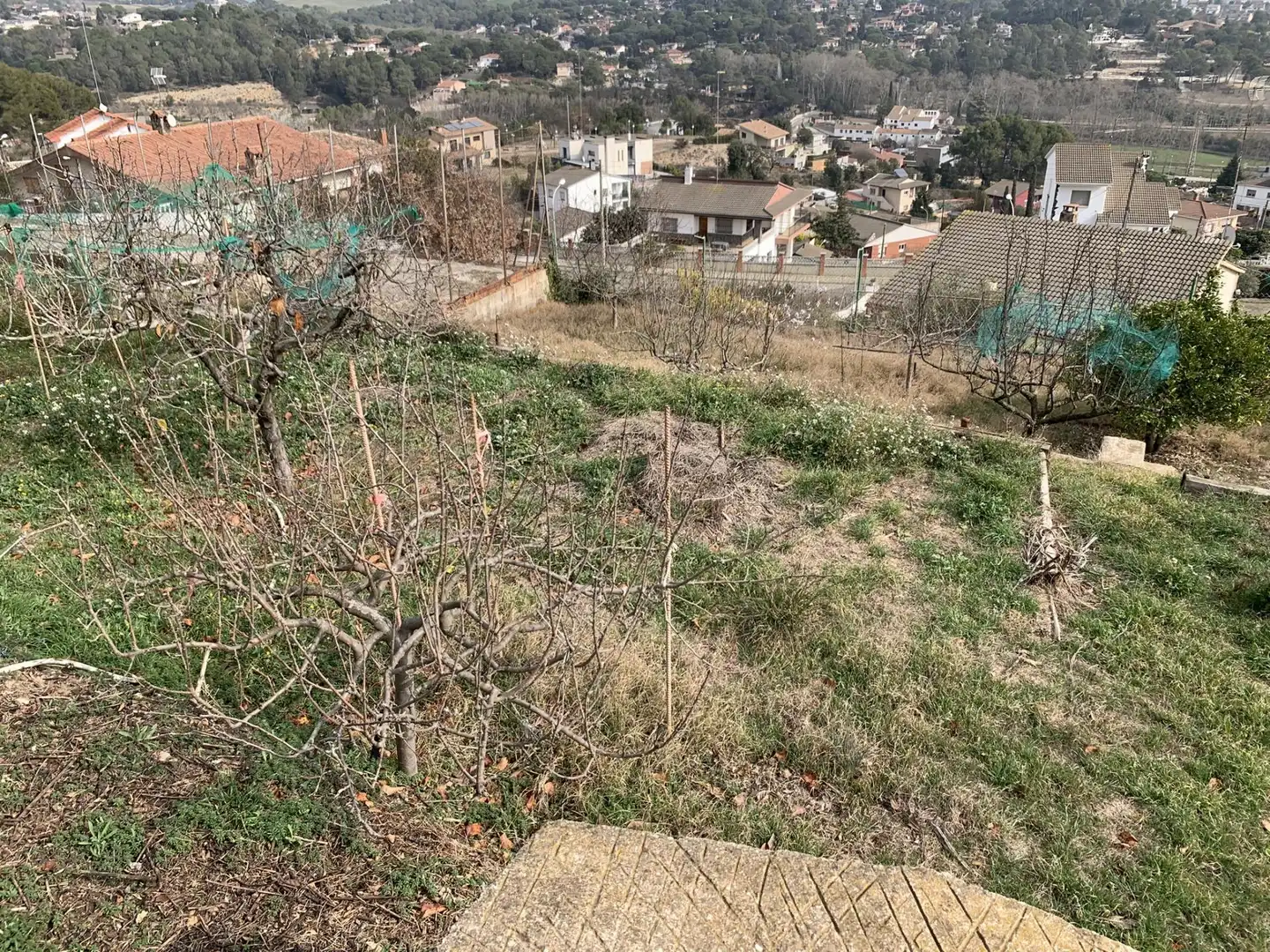 Terrenos y solares en venta en Calle SANTA LAURA, imagen 6