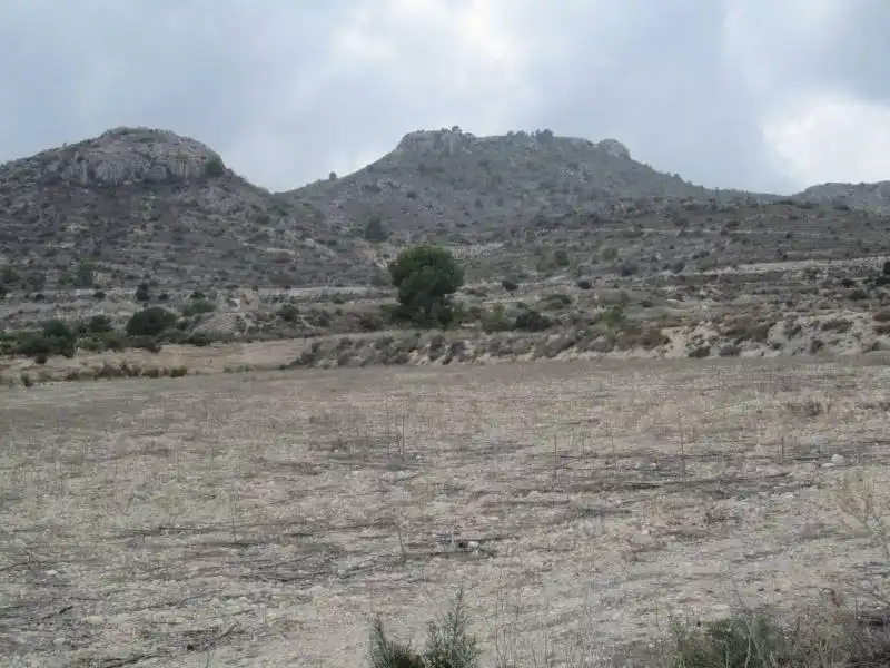 Rural land for sale in Novelda, imagen 7
