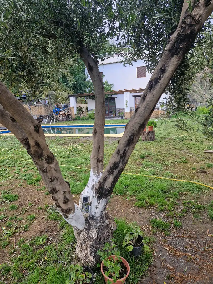 Chalet con terraza en venta en Bérchules, imagen 43