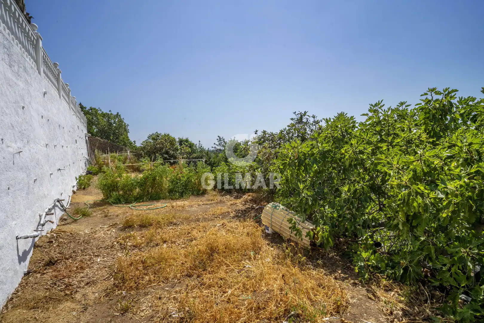Casa o xalet en venda en Estepona amb Jardí privat i Piscina
