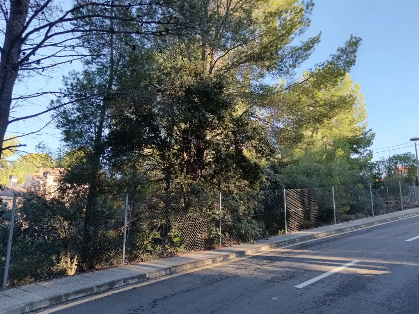 Terreny residencial en venda a Castellvell del Camp, imagen 6