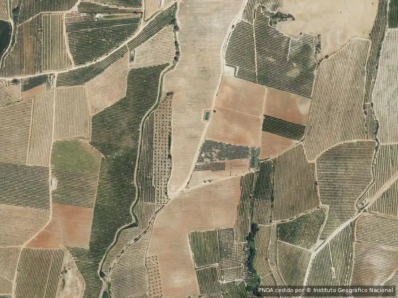 Appartamento in vendita a Alcolea del Río, imagen 5
