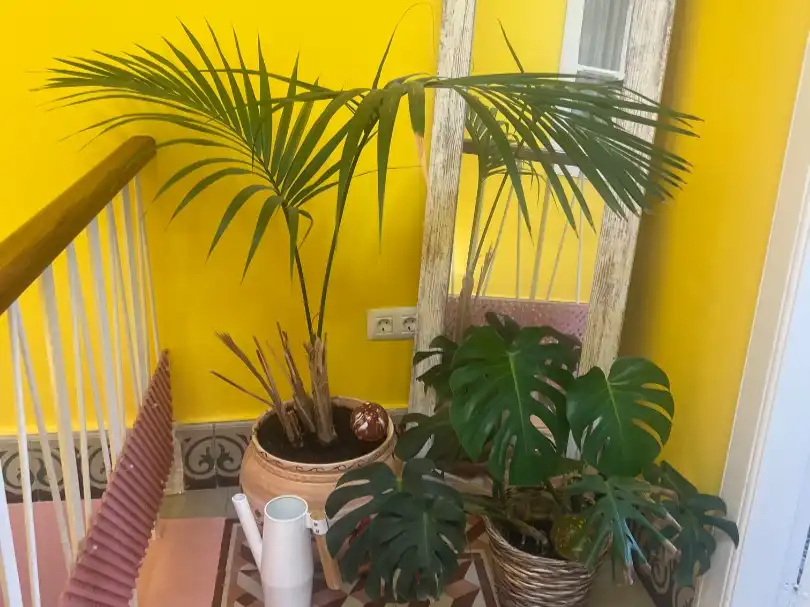 Balcony of Attic for sale in La Orotava  with Terrace, Furnished and Washing machine