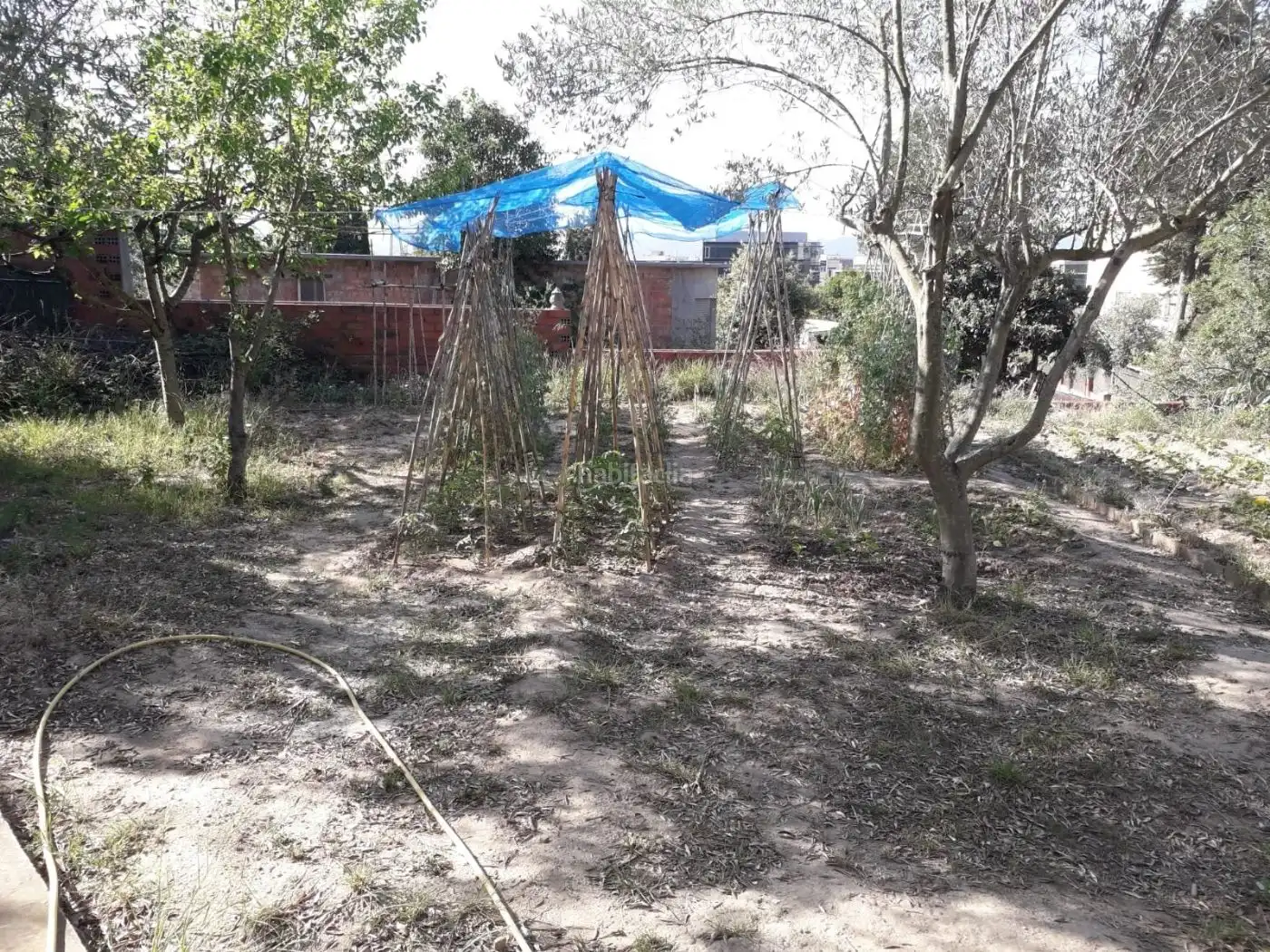 Terreno rustico in vendita a Carrer d'Altimira 22