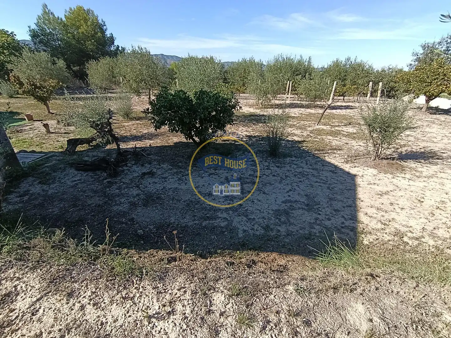 Casa con giardino in vendita a Sant Josep - Zona Hospital, imagen 11