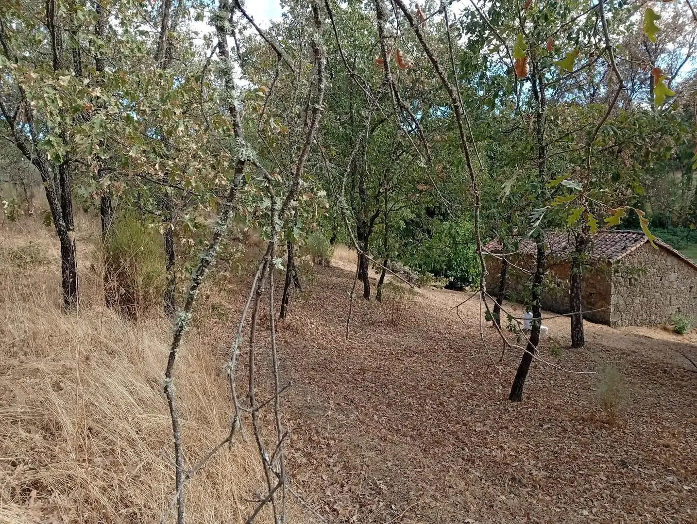 Terreni e lotti in vendita a Villanueva de la Vera, imagen 24