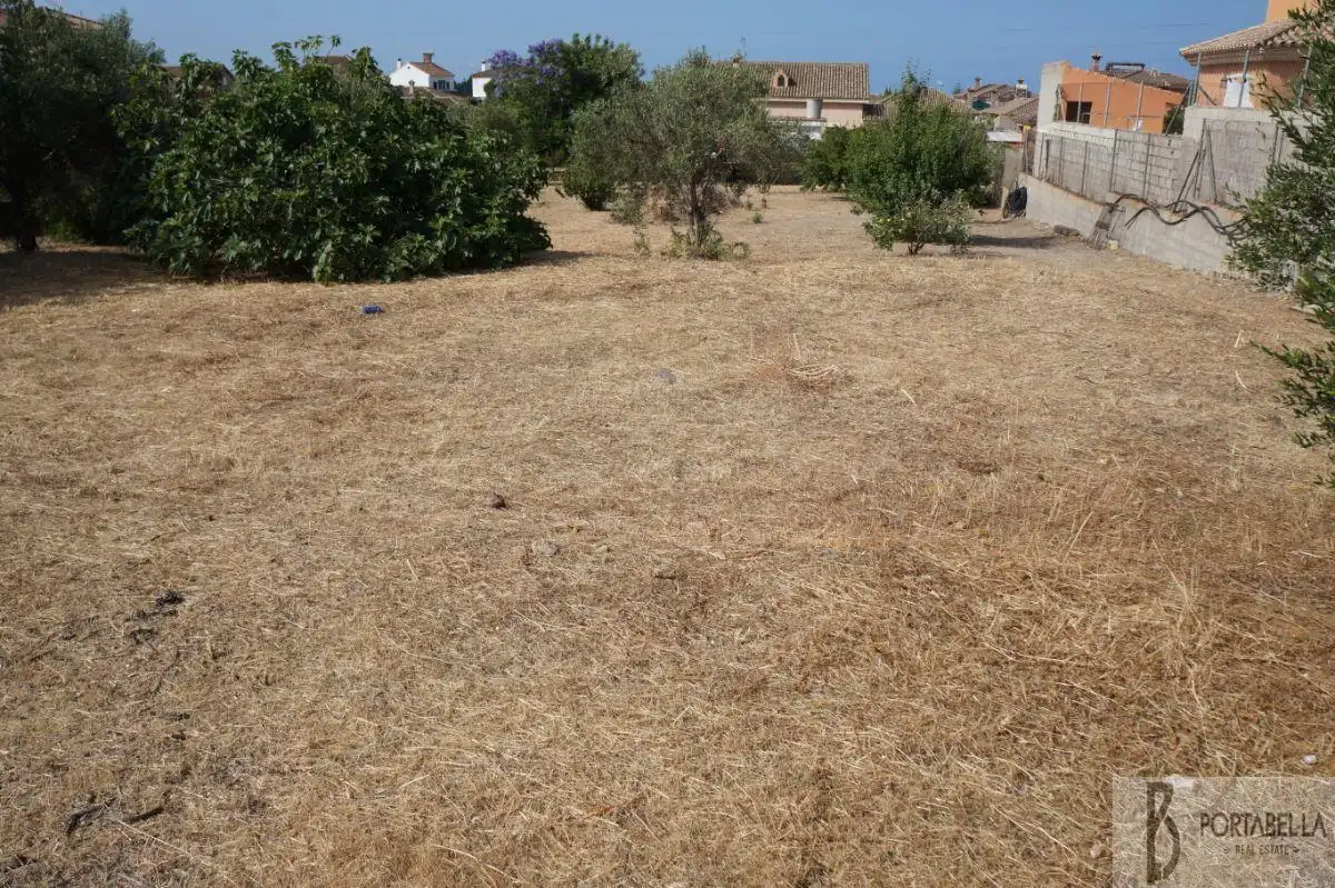 Terreny residencial en venda a Ctra Sanlúcar - Cuatro Pinos, imagen 10