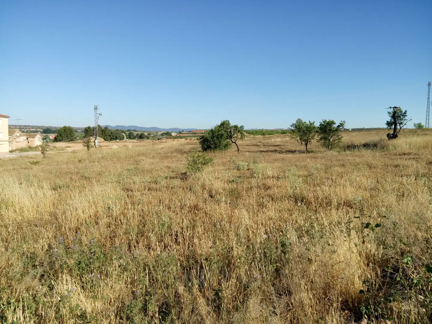 Rural land for sale in C/ Pasarela, imagen 10