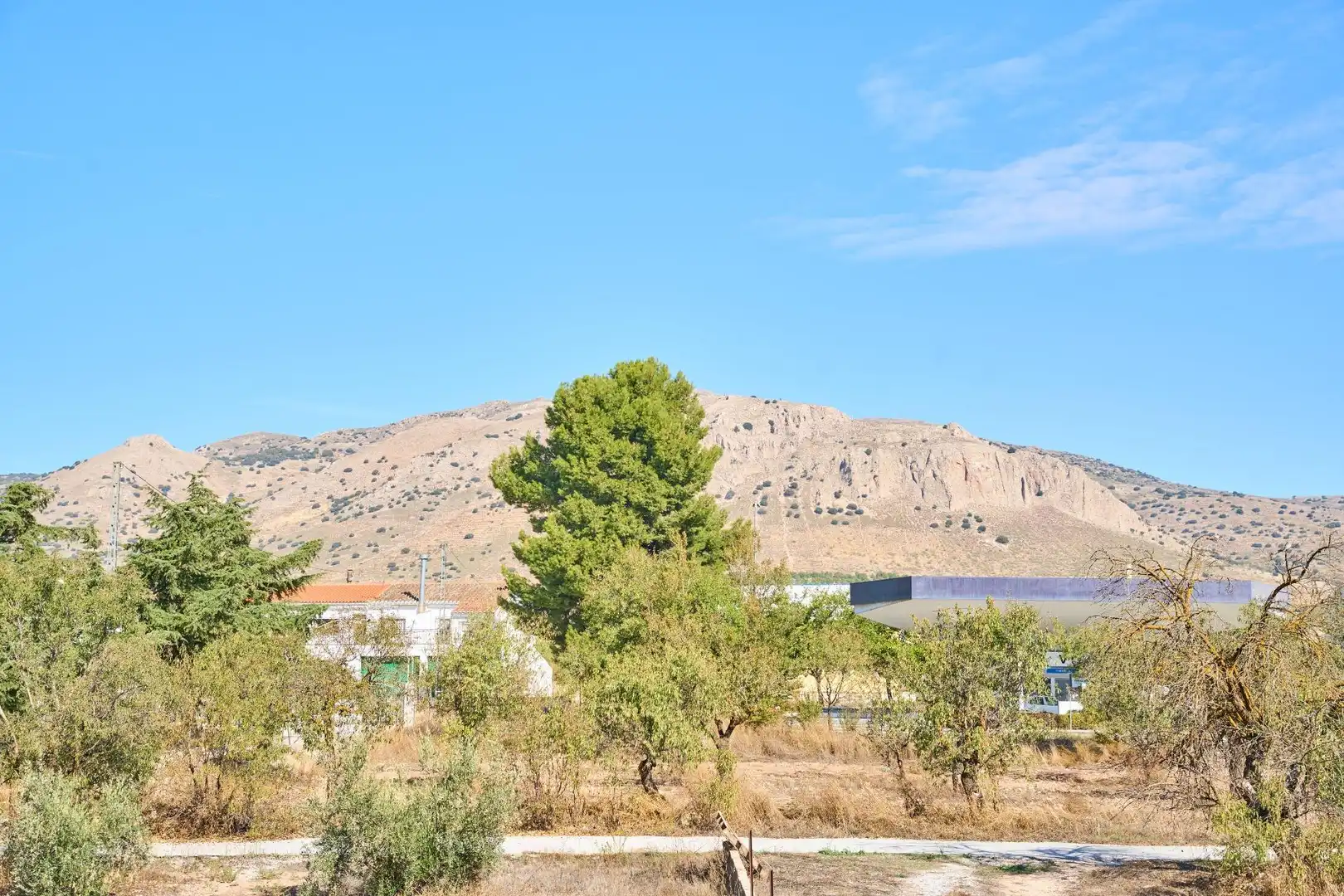 Vista exterior de Casa o chalet en venta en Cúllar con Calefacción, Jardín privado y Terraza