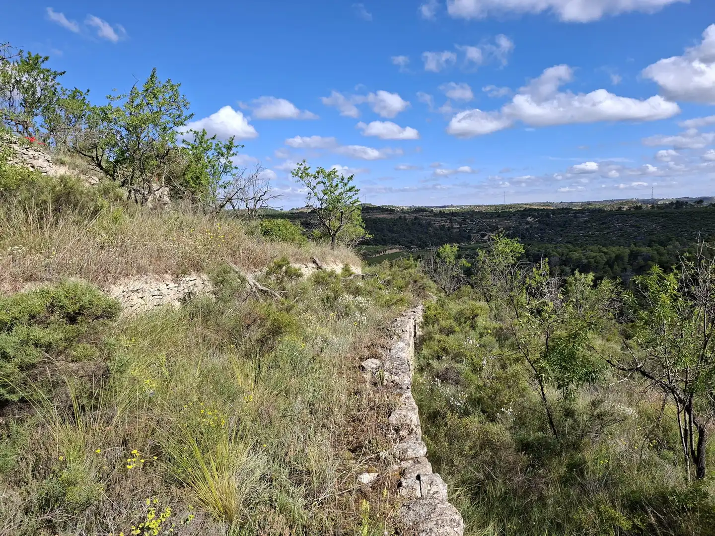 Finca rústica en venta en Vilalba dels Arcs