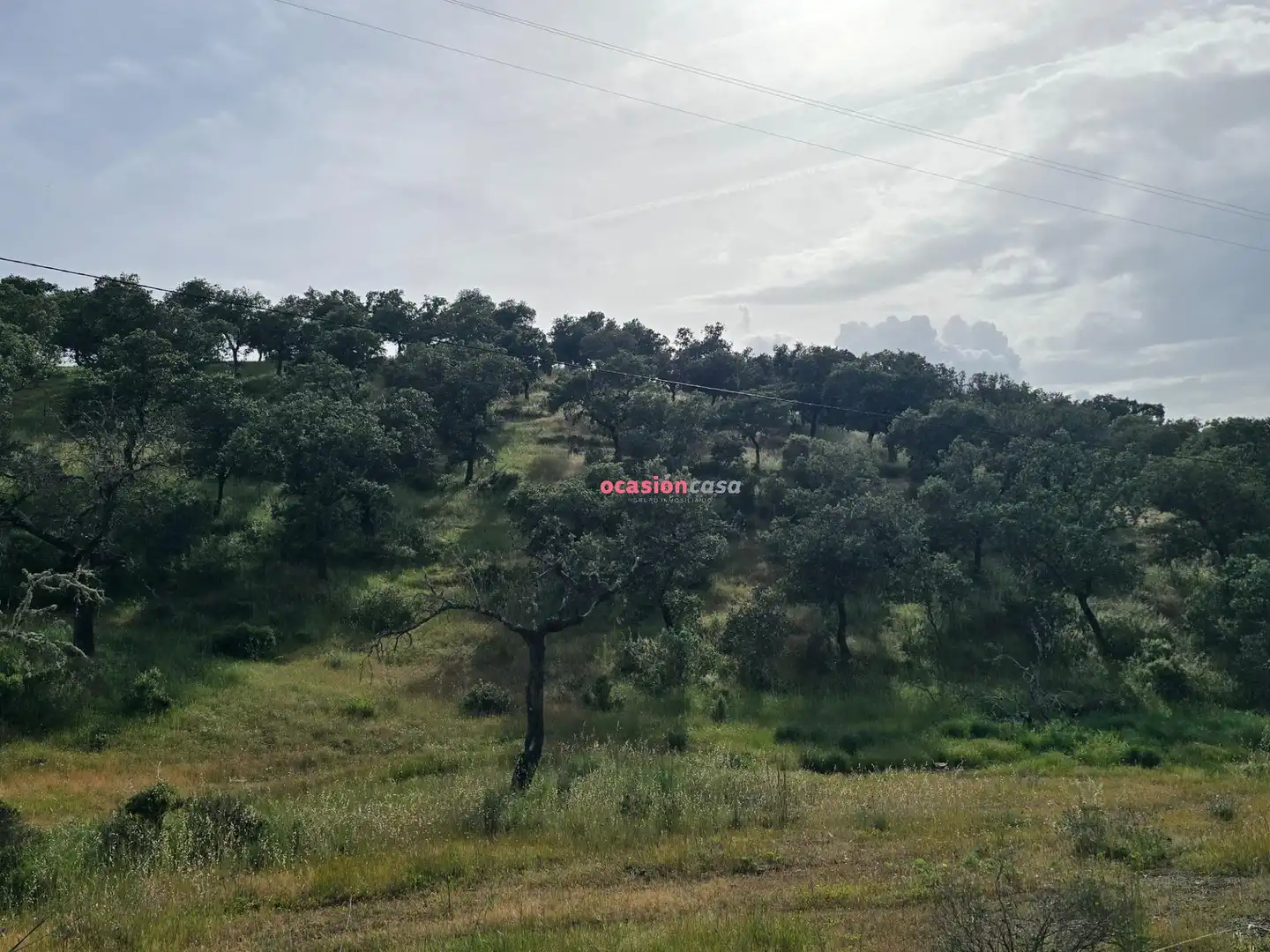 Casa o xalet en venda en Alcaracejos