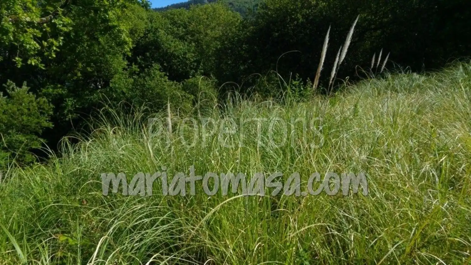 Lands and plots for sale in Mungia, imagen 4