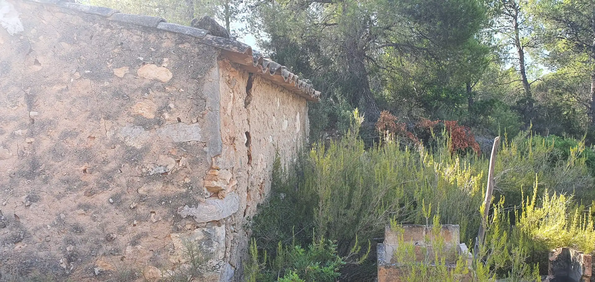 Jardín de Casa o chalet en venta en Benifallet