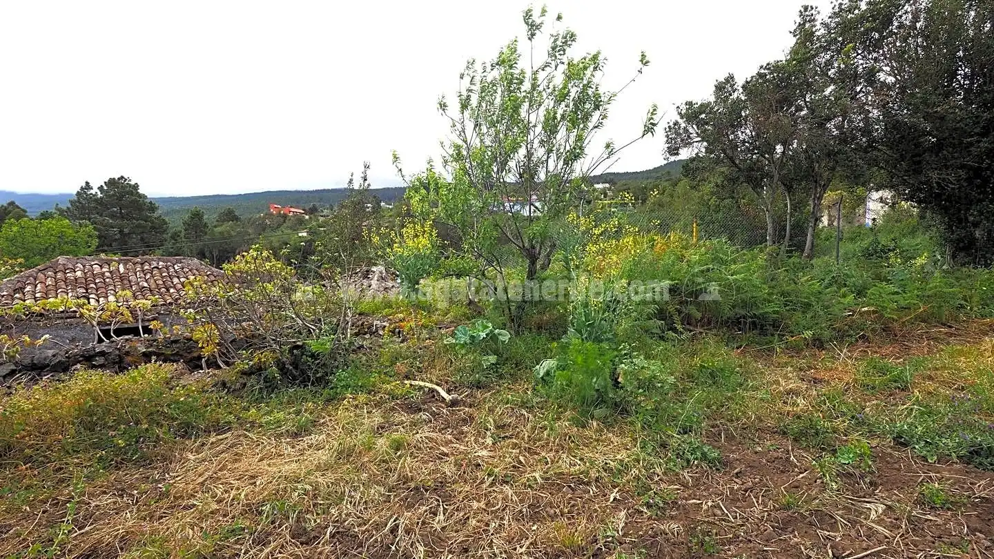Maison rustique à vendre à La Vega - El Amparo - Cueva del Viento, imagen 23