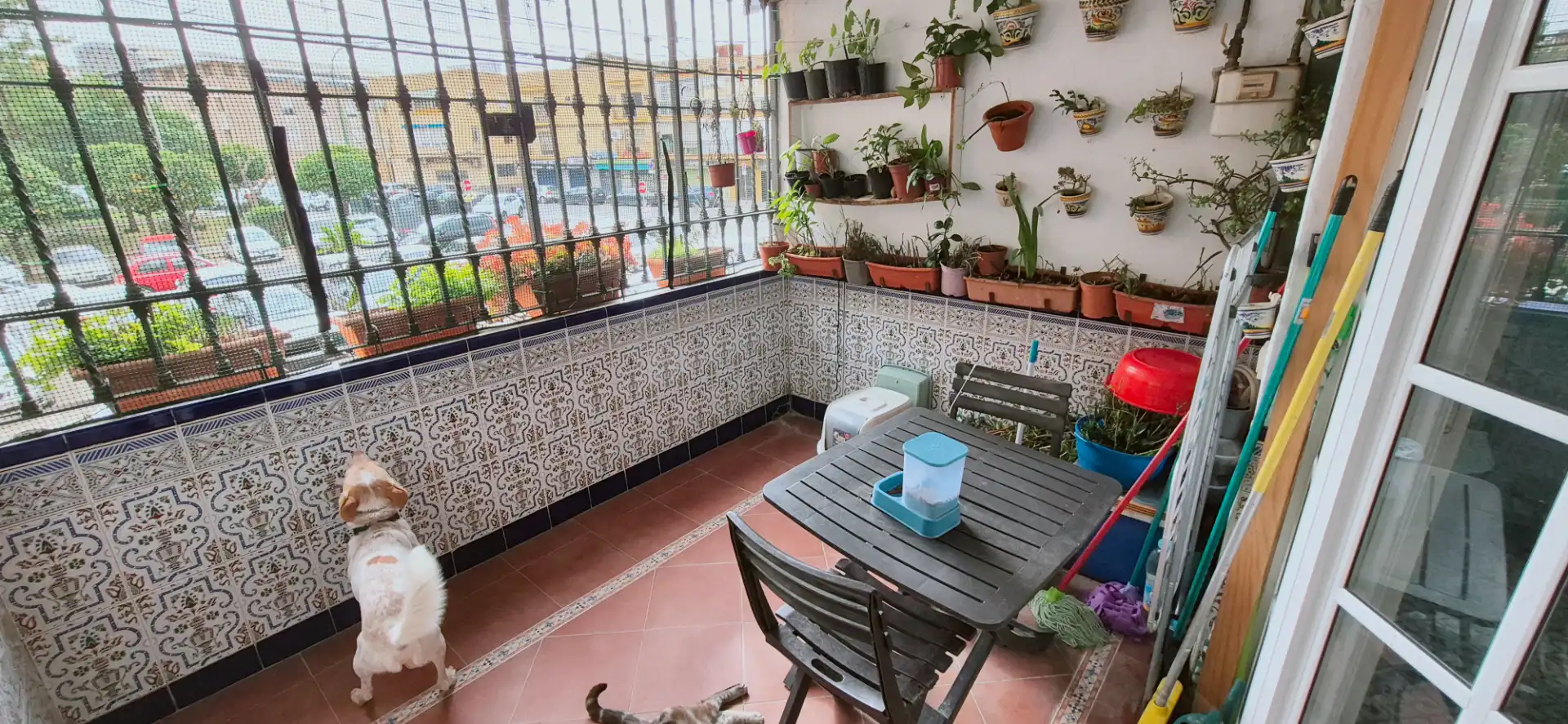Flat with lift for sale in Barriada de San Diego, imagen 16