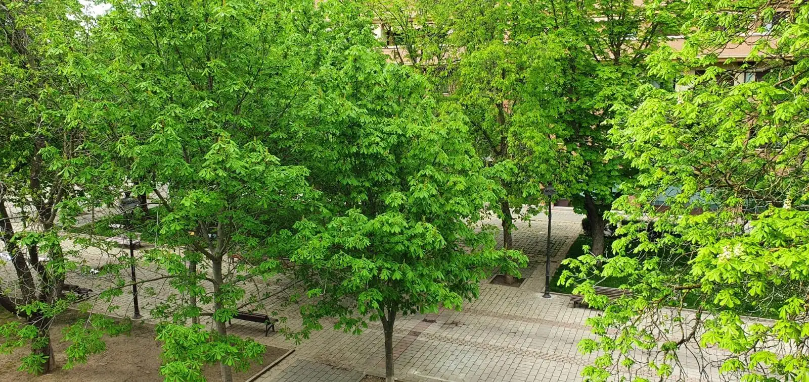 Exterior view of Flat for sale in Covaresa