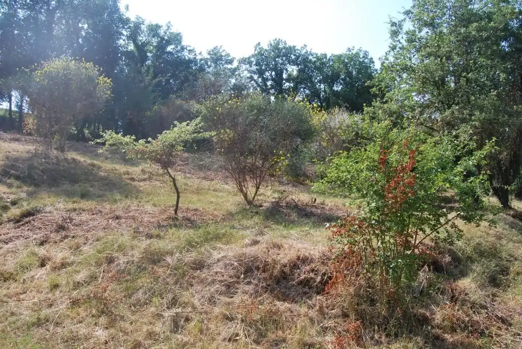 Terreny rústic en venda a Sant Celoni
