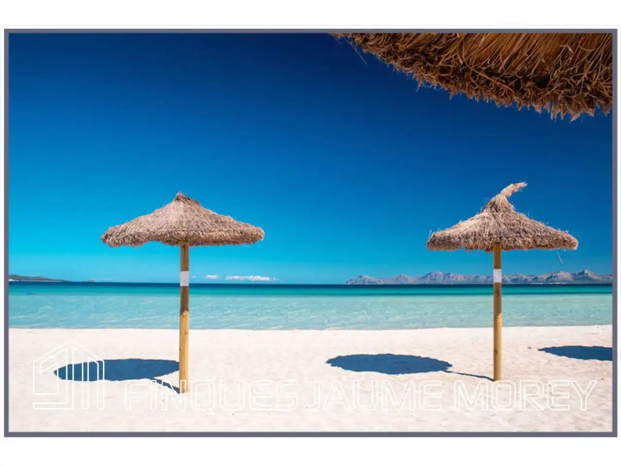 Local de lloguer a Avenida Platja, 2, Port d'Alcúdia - Platja d'Alcúdia