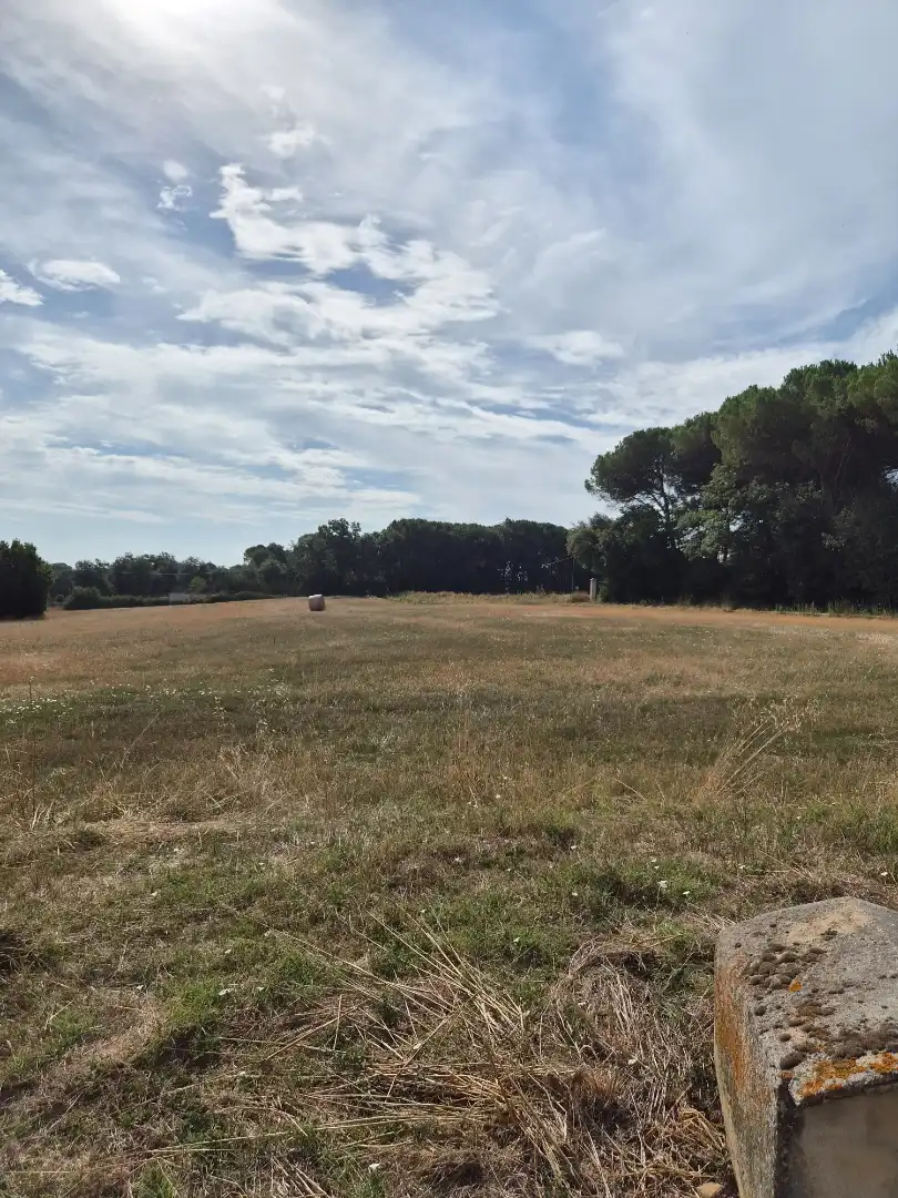 Country house for sale in Diseminado Diseminat 101, imagen 17