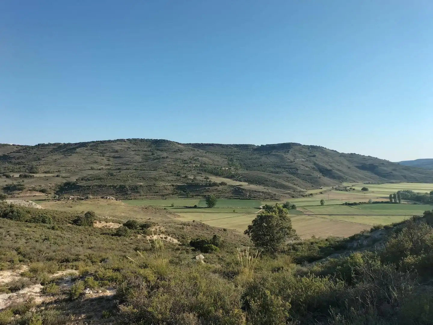 Terreno rustico in vendita a ermita, imagen 2