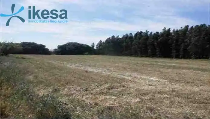 Terreni e lotti in vendita a Lepe, imagen 6