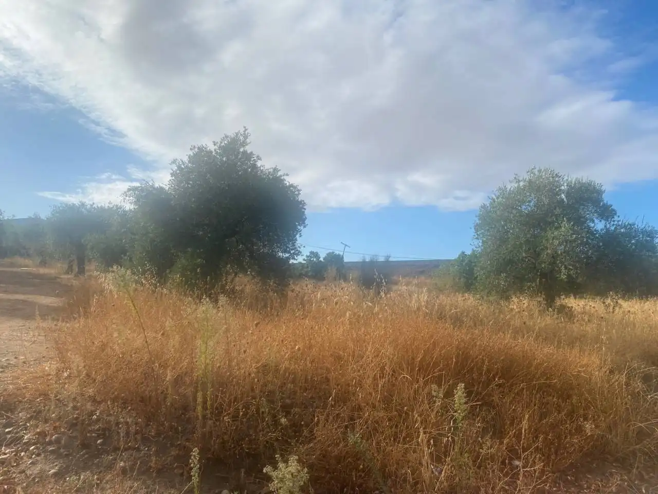 Terreni e lotti in vendita a Villanueva de la Serena, imagen 4