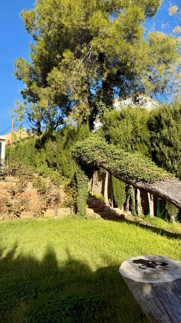 Jardín de Casa o chalet en venta en Siete Aguas con Jardín privado, Terraza y Alarma