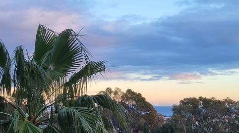 Photo 4 of Building for sale in Huerta del Prado - La Montua, Marbella