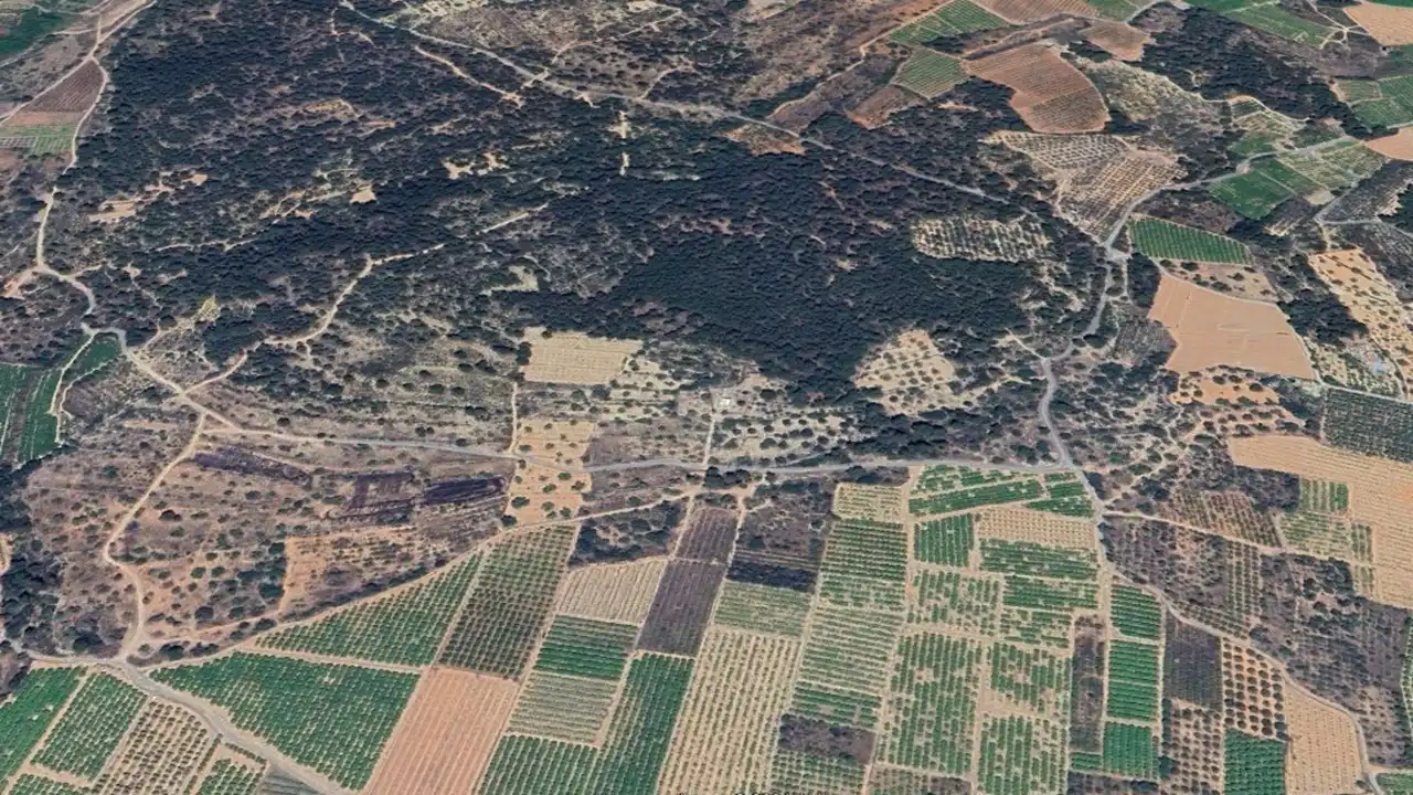 Rural land for sale in Pt Casalet, Pol 7, imagen 3