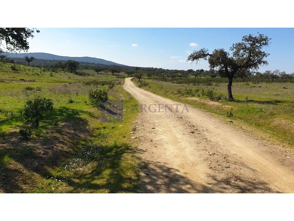 Maison à vendre à Aliseda, imagen 13