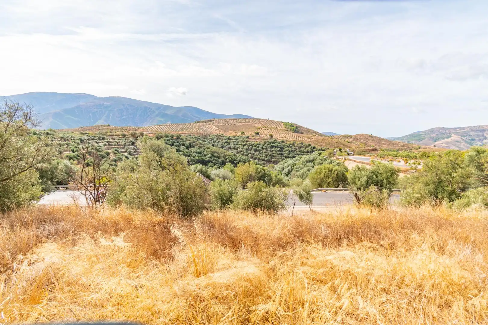 Country homes for sale in Órgiva