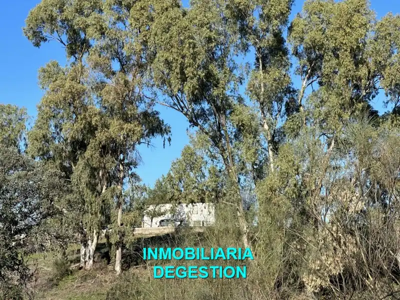 Terreni e lotti in vendita a Andújar, imagen 23