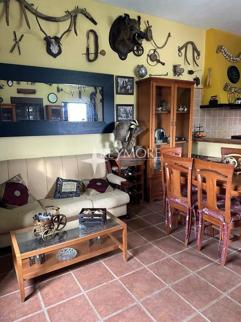 Sala de estar de Finca rústica en venta en La Puebla de los Infantes con Aire acondicionado, Calefacción y Jardín privado