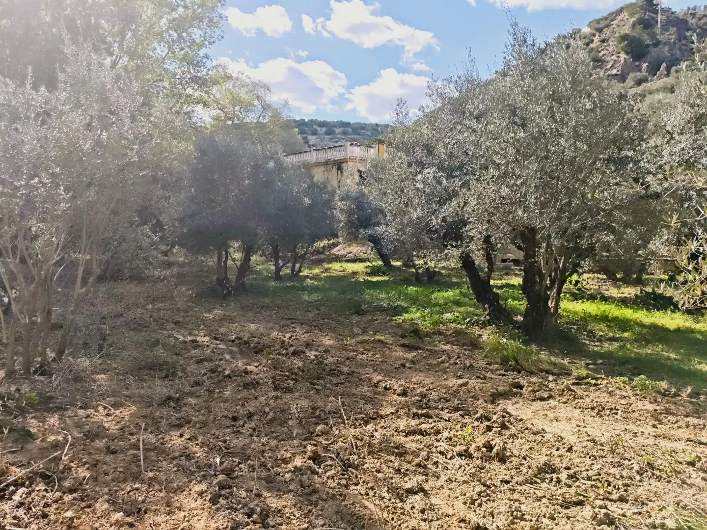Grundstücke zum Verkauf in Jaén