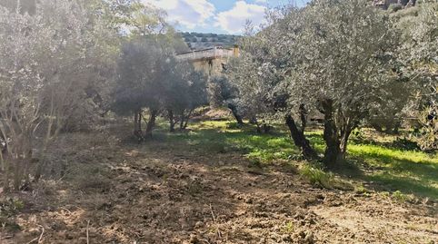 Foto 4 de Terreno en venta en Camino de Valdecañas, Puente Jontoya - Puente de la Sierra - El Arroyo, Jaén Capital