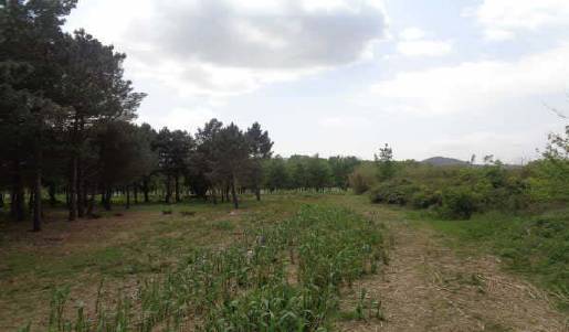 Terreno residencial en Venta en Ppr-5 Joan Maragall en Riells i Viabrea